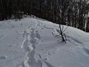 68 Rientro alla Forcella Alta seguendo la variante del 571 del Monte Picchetto 